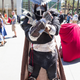 Image for article titled More Proof That This Might Be The Greatest Weekend For Cosplay, Ever.